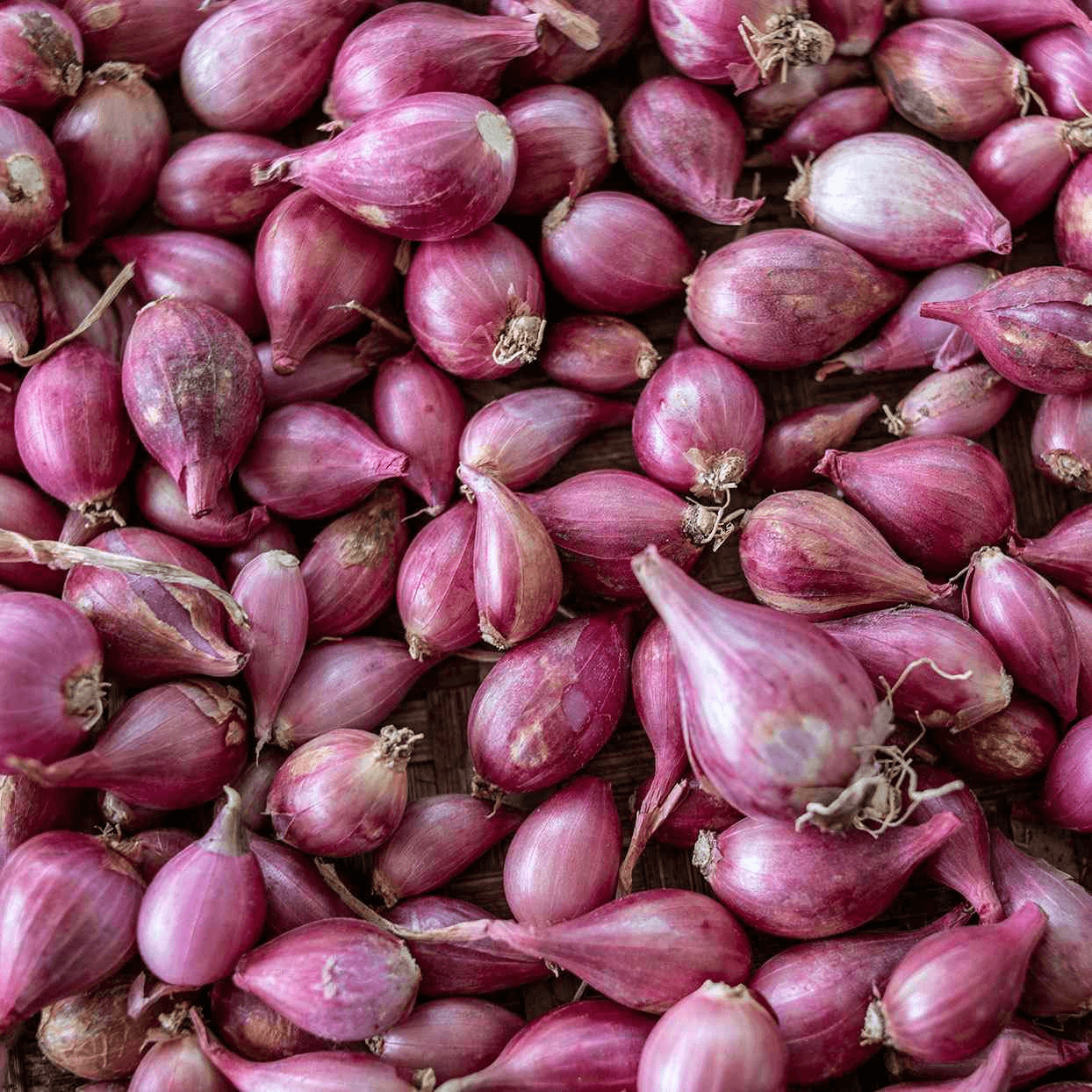Shallots